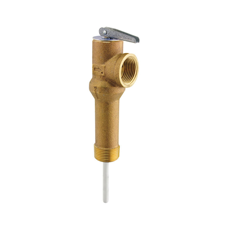 2" Temperature and Pressure Relief Valve