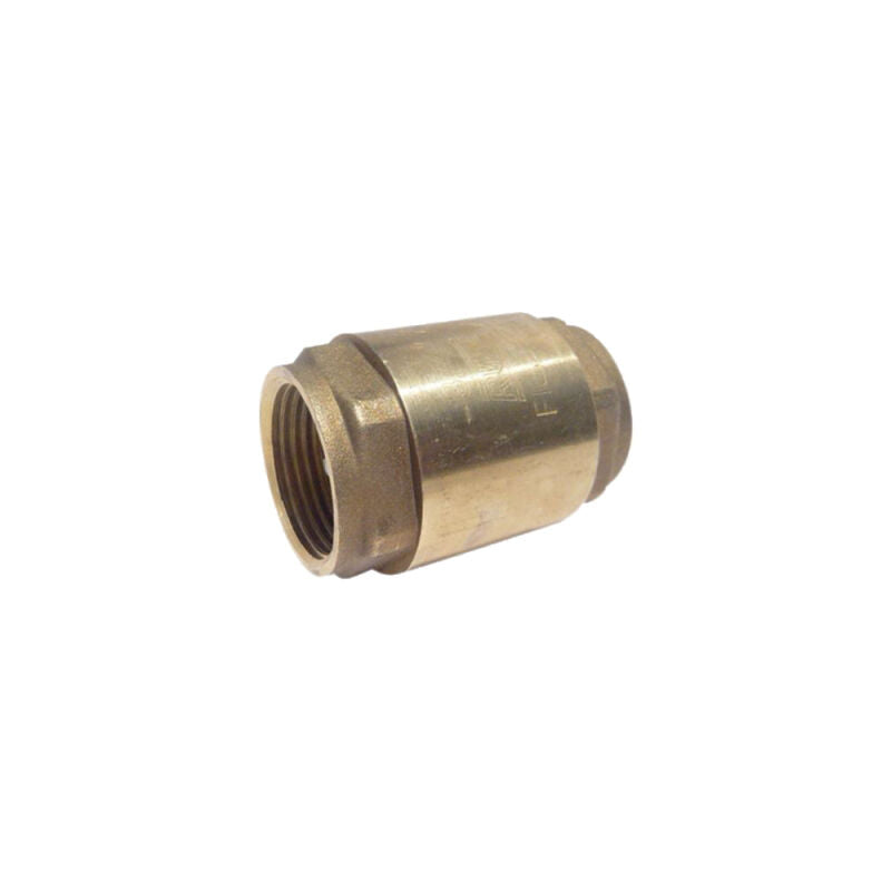 1/2" Lead Free* Brass Economy Spring Check Valves - IPS